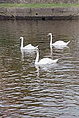 Norwich - Riverside Walk